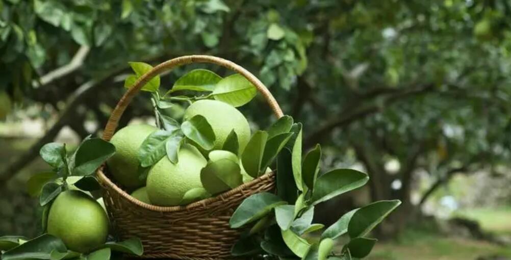 1686711958341301.jpg 1686711958341301.jpg